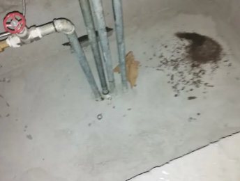 应县卫生间测漏水价格明细